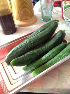 2013-06-27 09.28.19.jpg